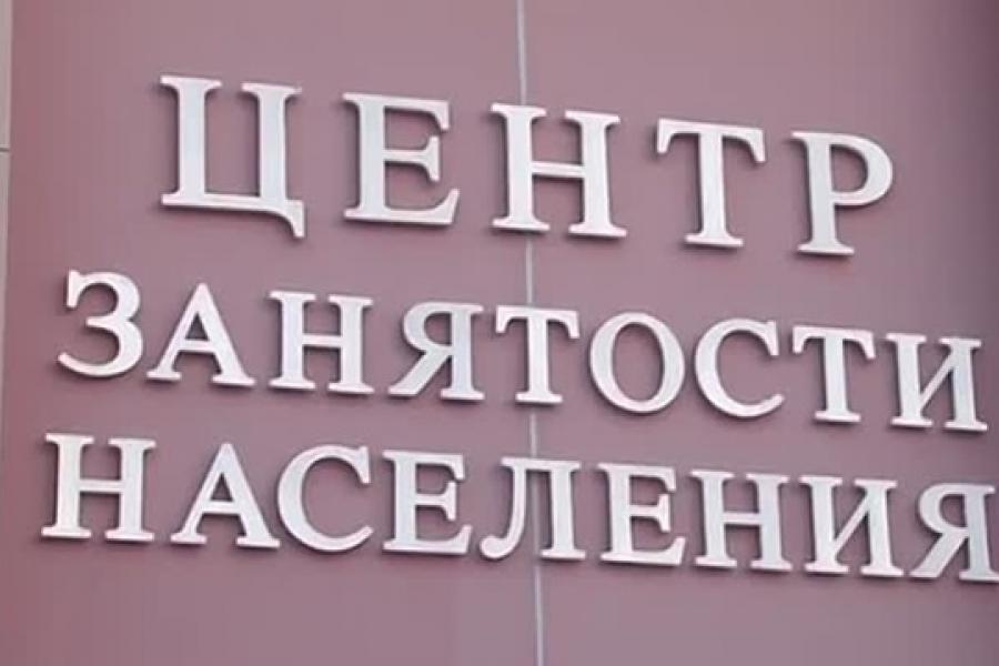 Наш центр занятости